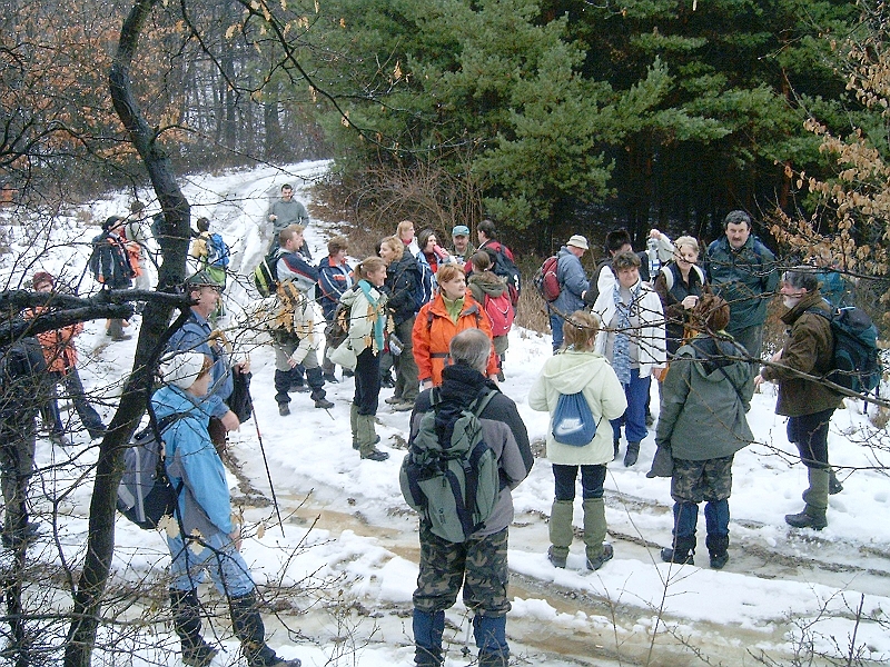 20100220 021.jpg
